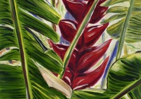 Sunlit Heliconia in Crimson