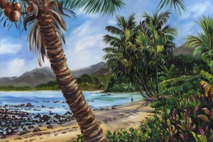 North Shore Expanse on Kauai