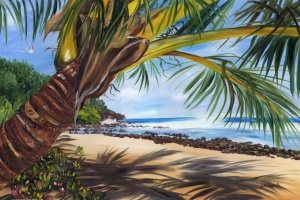 North Shore Shade on Kauai