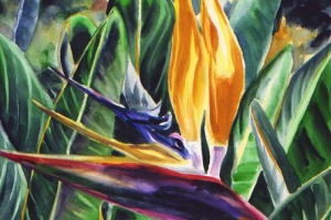 Tropical Bird of Paradise Flower