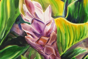 Tropical Hawaiian Pink Ginger Flower