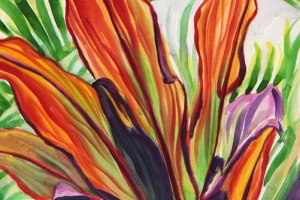 Orange Hawaiian Ti Leaves