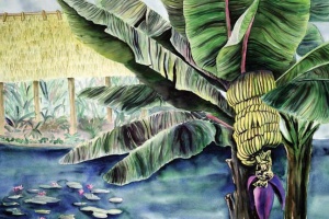 Banana Bloom Flower