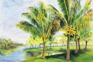 By the Water's Edge at the Fairchild Tropical Botanical Garden