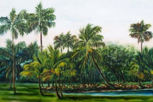 Late Afternoon in Fairchild Tropical Botanical Garden