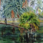 Over the Lagoon at Fairchild Tropical Botanical Garden by Jenny Floravita