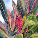 Pink Ginger, watercolor by Jenny Floravita