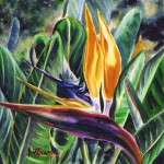 Tropical Bird of Paradise Flower by Jenny Floravita