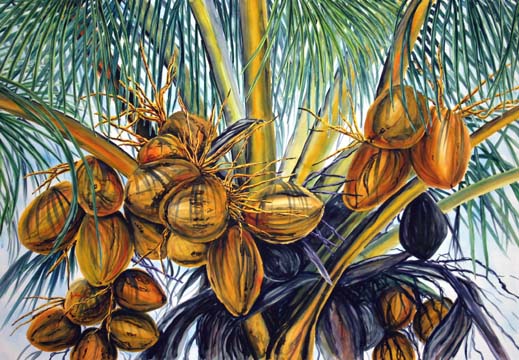 Florida Coconut Palm Painting oil by Jenny Floravita