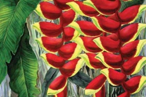 Red Heliconia Lake Tropical Flower Art