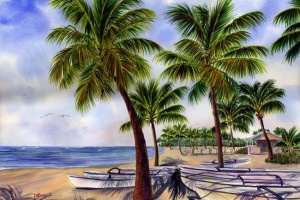 Morning in Key West