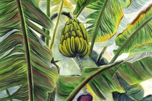 Jungle Banana