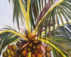 Coconut Inspiration