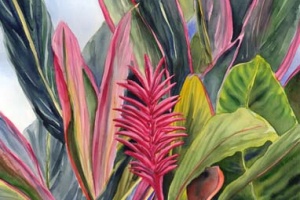 Pink Ginger Tropical Hawaiian Flower Painting