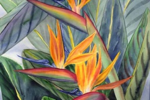 Trio Bird of Paradise Tropical Flower Art