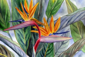 Duet Bird of Paradise Tropical Flower Painting