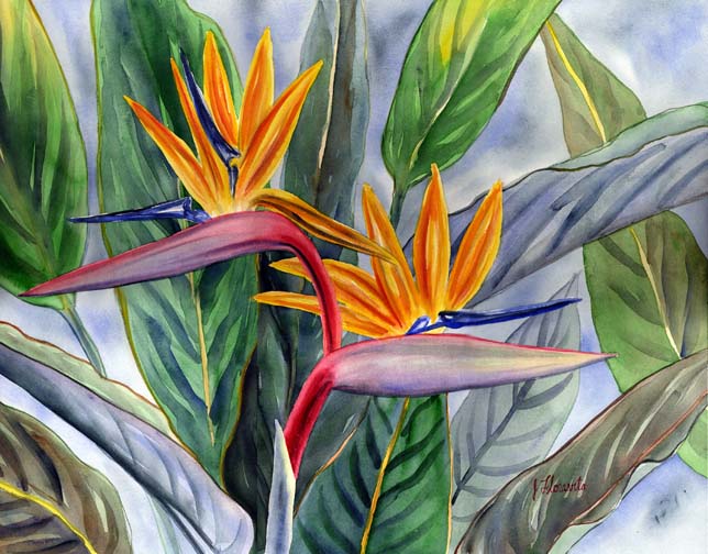 painting pictures of flowers. Tropical Flower Painting