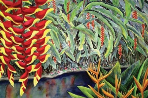 Parrots Beak Heliconia & Red Pendant Heliconia Tropical Flower
