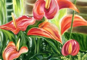 Tropical Hawaiian Pink Anthurium Flowers