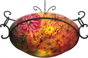 Chrysanthemum Celebration