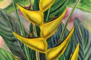 Yellow Heliconia Tropical Hawaiian Flower Painting