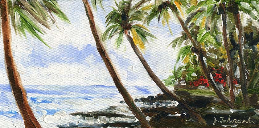 Hawaii Lava Beach