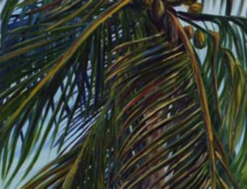 Coconut Palm and Pink Flowers