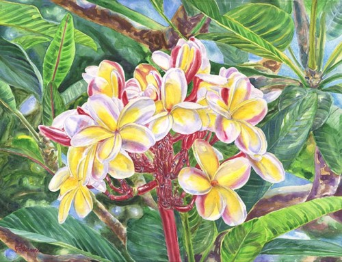 Summertime Kauai Island Plumeria watercolor painting