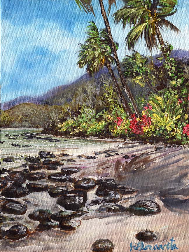 Secluded Beach Kauai painting
